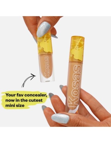 Mini Revealer Concealer