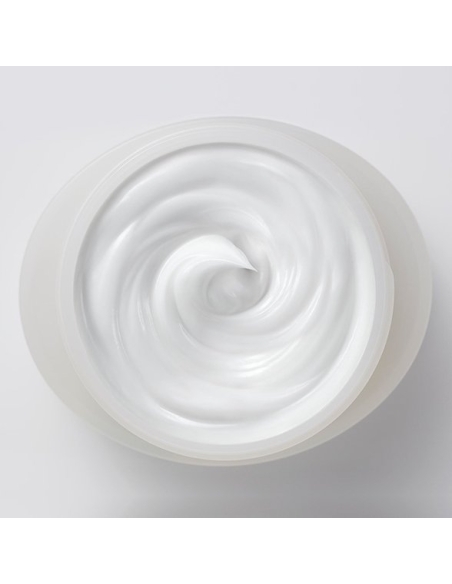 Curel - Intensive Moisture Facial Cream Curel - Intensive Moisture Facial Cream