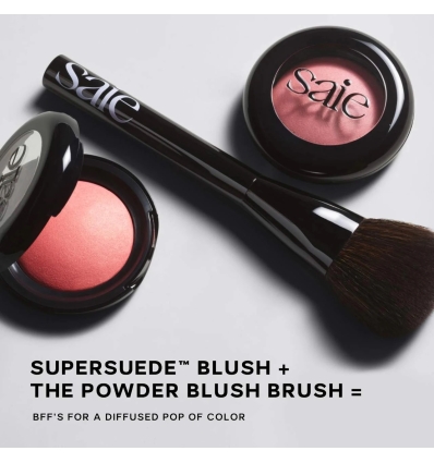The Powder Blush Brush