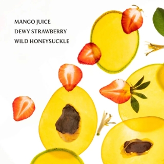*SOBRE PEDIDO* Mango Mojo Power Essence Fragrance Mist 2