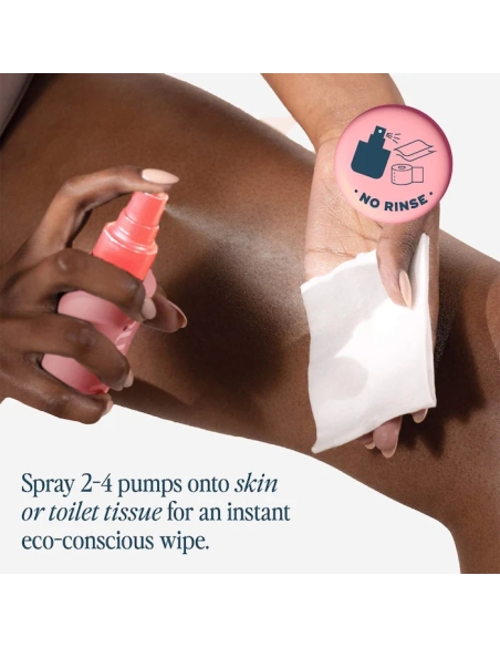 The Everywhere Spray-To-Wipe The Everywhere Spray-To-Wipe