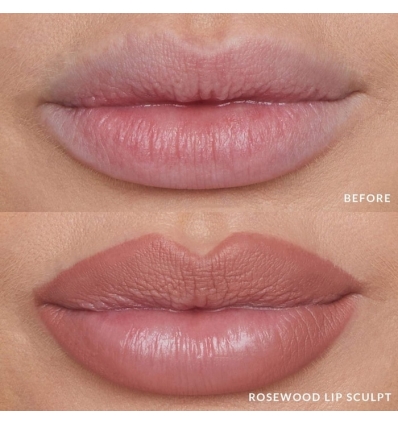 *SOBRE PEDIDO* (Rosewood) Lip Sculpt Longwear Liner