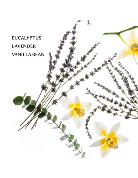 (Pure Lavender) Power Mist Hydrating Hand Sanitizer (Pure Lavender) Power Mist Hydrating Hand Sanitizer