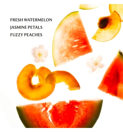 (Wild Watermelon) Power Mist Hydrating Hand Sanitizer