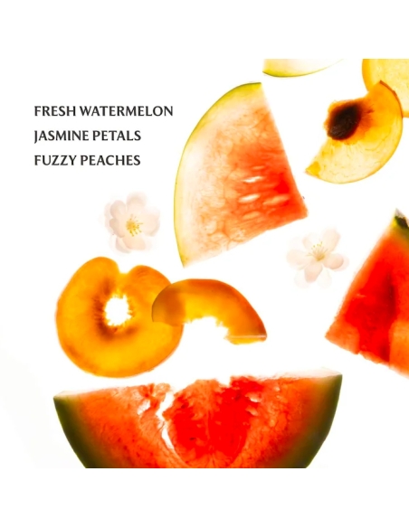 (Wild Watermelon) Power Mist Hydrating Hand Sanitizer (Wild Watermelon) Power Mist Hydrating Hand Sanitizer