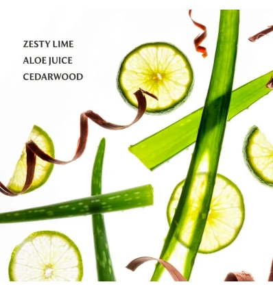 (Aloe You) Power Mist Hydrating Hand Sanitizer