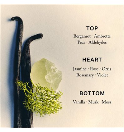 *SOBRE PEDIDO* Retrospect L’Extrait de Parfum