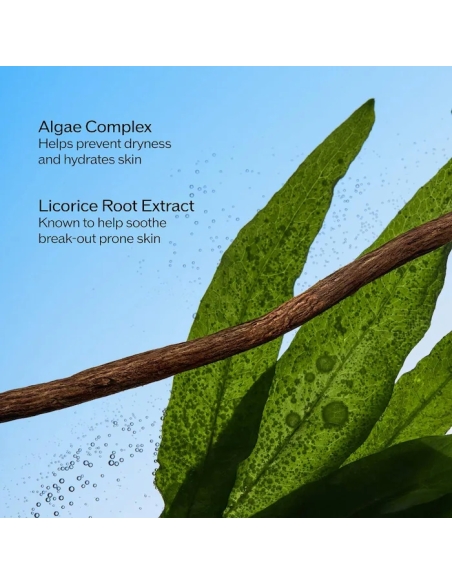 *SOBRE PEDIDO* Mini Ultimate Sun Protector Face and Body Lotion Sunscreen SPF 60+ *SOBRE PEDIDO* Mini Ultimate Sun Protector Face and Body Lotion Sunscreen SPF 60+