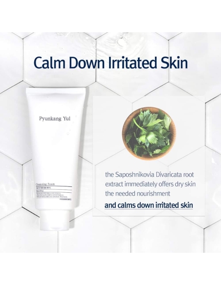 Pyunkang Yul - Cleansing Foam Pyunkang Yul - Cleansing Foam