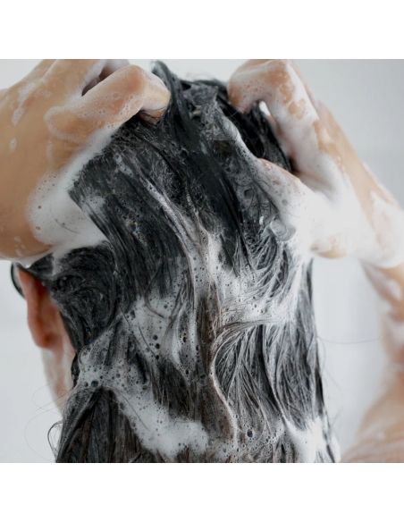 shiseido Fino Premium Touch Shampoo shiseido Fino Premium Touch Shampoo