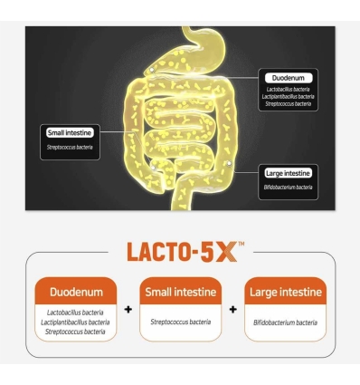 lacto - Probiotics Gold 30 Sticks