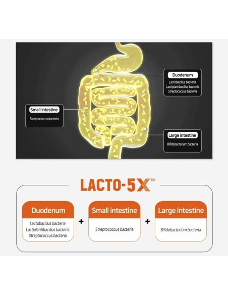 lacto - Probiotics Gold 30 Sticks lacto - Probiotics Gold 30 Sticks