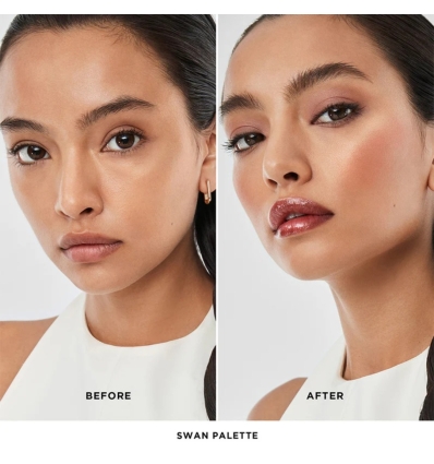 (Swan) Ambient Lighting Edit Unlocked