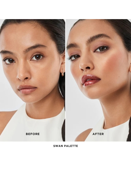 (Swan) Ambient Lighting Edit Unlocked