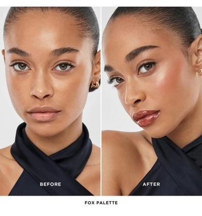 (Fox) Ambient Lighting Edit Unlocked