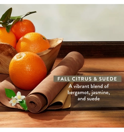 *SOBRE PEDIDO* (Fall Citrus & Suede) Deodorant