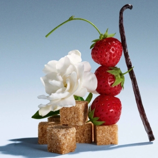 *SOBRE PEDIDO* Mini Miutine Eau De Parfum Perfume Duo Set 2