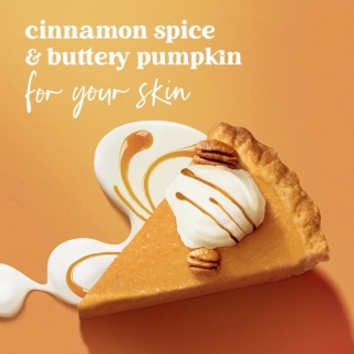 (Cinnamon Pumpkin Pie) Holiday Treat Deodorant Stick 2