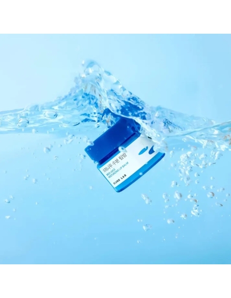 round lab - Birch Juice Moisturizing Lip Balm round lab - Birch Juice Moisturizing Lip Balm