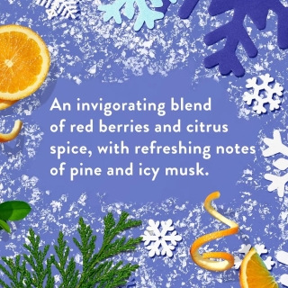 (Alpine Air) Deodorant 2