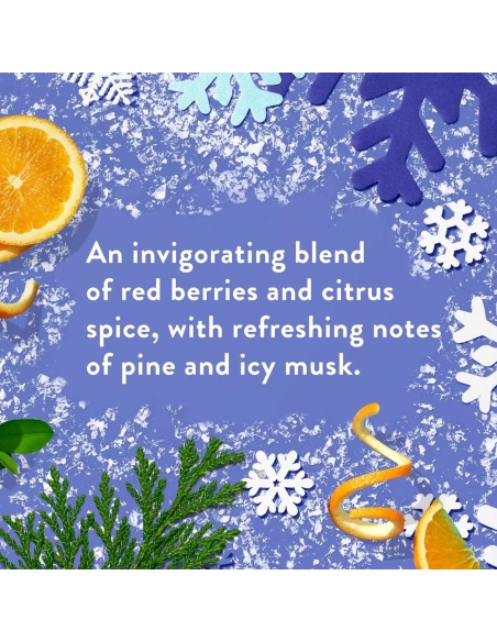 (Alpine Air) Deodorant (Alpine Air) Deodorant