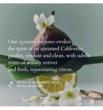 *SOBRE PEDIDO* Smooth & Shine Hair Oil & Serum Set