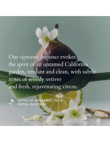 *SOBRE PEDIDO* Smooth & Shine Hair Oil & Serum Set