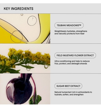 *SOBRE PEDIDO* The Leave-In Conditioner Cream for Hydrated Hair