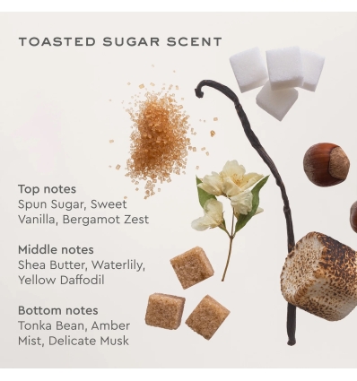 *SOBRE PEDIDO* Aura Hair & Body Fragrance Mist in Toasted Sugar