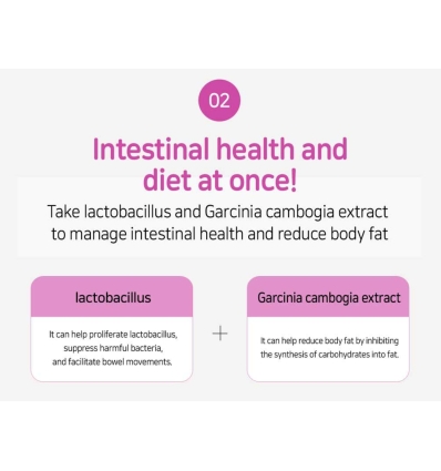 Lacto Fit - Probiotics Slim 60 sticks