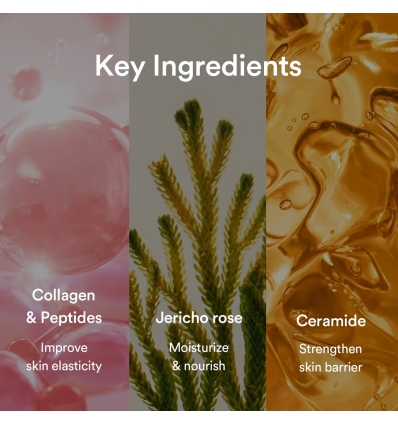 Abib - (Jericho Rose Jelly) Collagen Gel Mask