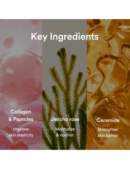 Abib - (Jericho Rose Jelly) Collagen Gel Mask