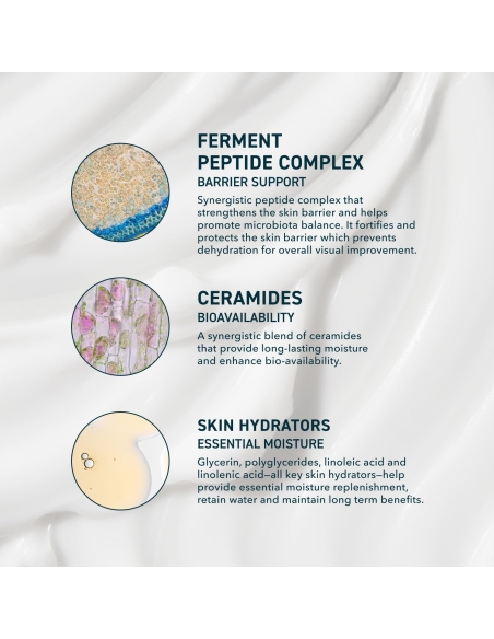 *SOBRE PEDIDO* AM/PM Modern Moisturizer