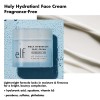 Holy Hydration Face Cream (Fragrance Free)